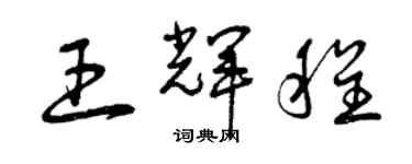 曾慶福王輝程草書個性簽名怎么寫