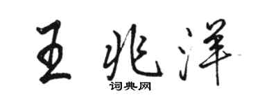 駱恆光王兆洋行書個性簽名怎么寫