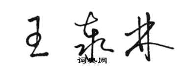 駱恆光王泰林草書個性簽名怎么寫