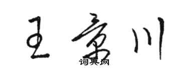 駱恆光王景川草書個性簽名怎么寫