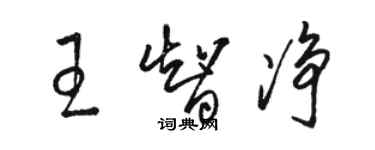 駱恆光王智淨草書個性簽名怎么寫