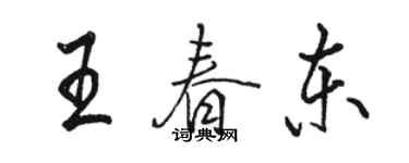 駱恆光王春東行書個性簽名怎么寫