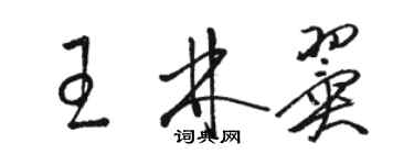 駱恆光王林翼草書個性簽名怎么寫