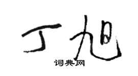 駱恆光丁旭草書個性簽名怎么寫