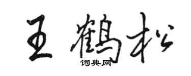 駱恆光王鶴松行書個性簽名怎么寫