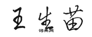 駱恆光王生苗行書個性簽名怎么寫