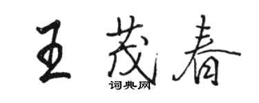 駱恆光王茂春行書個性簽名怎么寫
