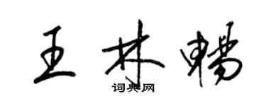 梁錦英王林暢草書個性簽名怎么寫