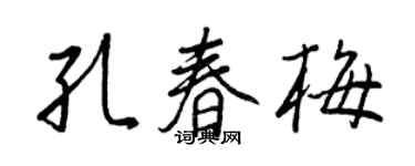 王正良孔春梅行書個性簽名怎么寫