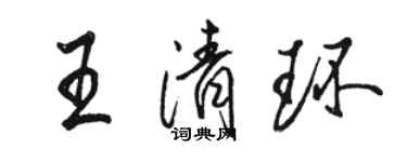 駱恆光王清環行書個性簽名怎么寫