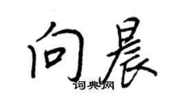 王正良向晨行書個性簽名怎么寫