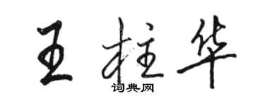 駱恆光王柱華行書個性簽名怎么寫