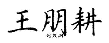 丁謙王朋耕楷書個性簽名怎么寫