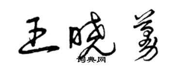 曾慶福王曉蔓草書個性簽名怎么寫