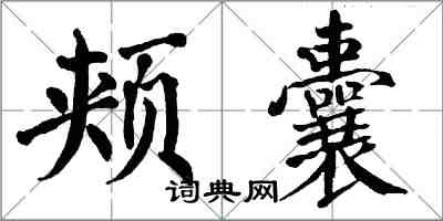 翁闓運頰囊楷書怎么寫