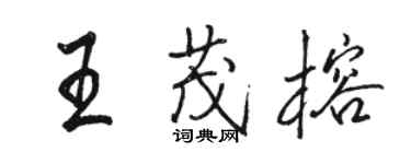 駱恆光王茂榕行書個性簽名怎么寫