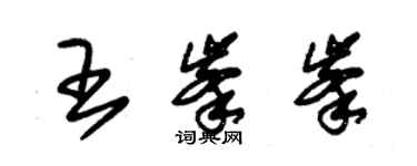朱錫榮王峰峰草書個性簽名怎么寫