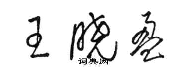 駱恆光王曉盈草書個性簽名怎么寫