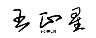 朱錫榮王正星草書個性簽名怎么寫