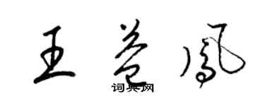 梁錦英王益鳳草書個性簽名怎么寫