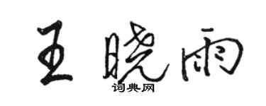 駱恆光王曉雨行書個性簽名怎么寫