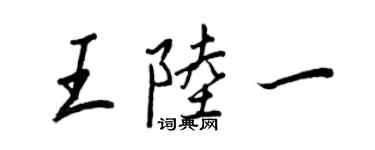 王正良王陸一行書個性簽名怎么寫