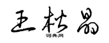 曾慶福王楷晶草書個性簽名怎么寫