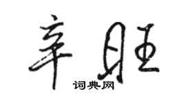 駱恆光辛旺行書個性簽名怎么寫