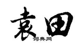 胡問遂袁田行書個性簽名怎么寫