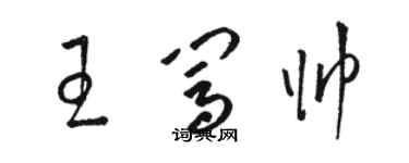駱恆光王闖帥草書個性簽名怎么寫
