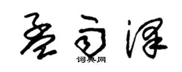 朱錫榮孟雨澤草書個性簽名怎么寫