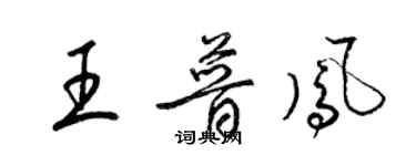 梁錦英王普鳳草書個性簽名怎么寫