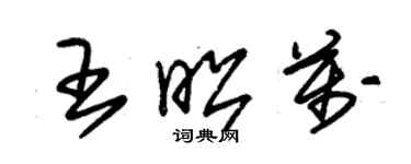 朱錫榮王昭萬草書個性簽名怎么寫