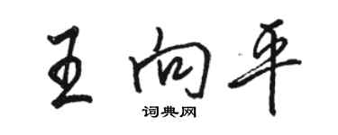 駱恆光王向平行書個性簽名怎么寫