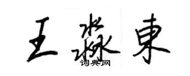 王正良王淼東行書個性簽名怎么寫