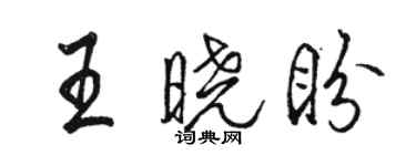 駱恆光王曉盼行書個性簽名怎么寫