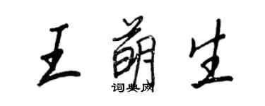 王正良王萌生行書個性簽名怎么寫
