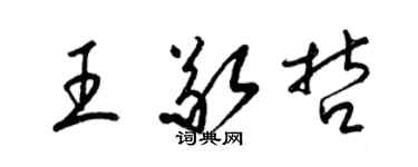 梁錦英王敬哲草書個性簽名怎么寫