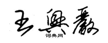 朱錫榮王興嚴草書個性簽名怎么寫