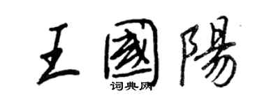 王正良王國陽行書個性簽名怎么寫