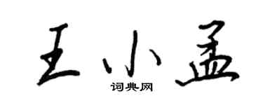 王正良王小孟行書個性簽名怎么寫