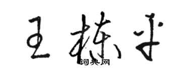 駱恆光王棟平草書個性簽名怎么寫