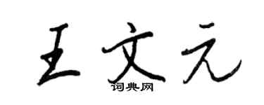 王正良王文元行書個性簽名怎么寫