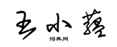 朱錫榮王小蘊草書個性簽名怎么寫