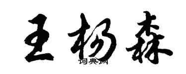 胡問遂王楊森行書個性簽名怎么寫