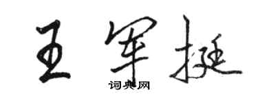 駱恆光王軍挺行書個性簽名怎么寫