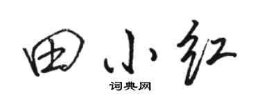 駱恆光田小紅行書個性簽名怎么寫