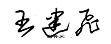 朱錫榮王建飛草書個性簽名怎么寫