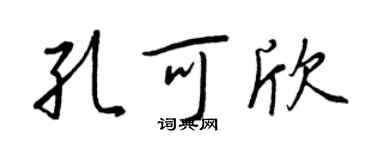 王正良孔可欣行書個性簽名怎么寫