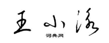 梁錦英王小泳草書個性簽名怎么寫